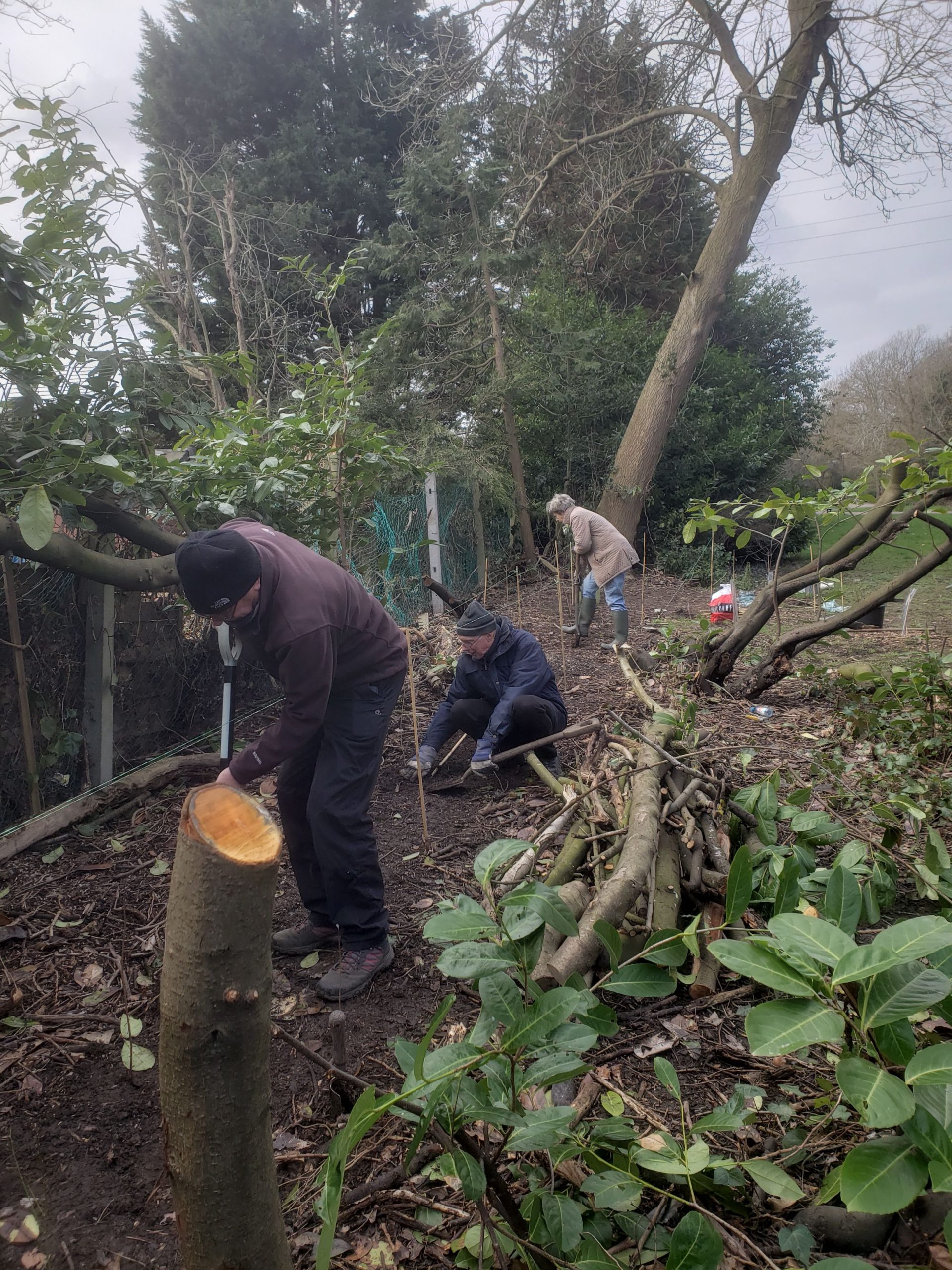 Volunteers plant wildlife hedge